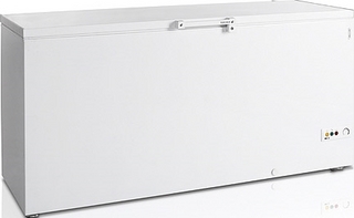 Морозильный ларь TEFCOLD FR 605